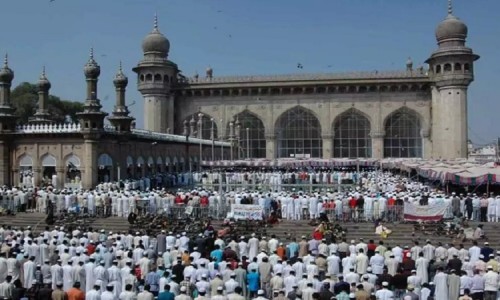 醋鳖甲的功效与作用的功能与主治-醋炙鳖甲功效与作用网 :分享醋炙鳖甲怎么炮制-醋炙鳖甲功效与作用及禁忌知识
